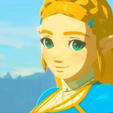 Zelda ( botw )